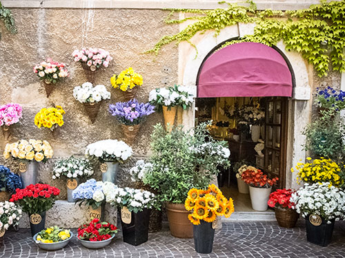 Boutiques de fleuristes